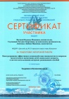 Сертификат участник Здоровая и безопасная среда