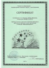 Сертификат участника в городском фест-ле 2017.jpg
