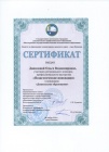 Региональный конкурс Педагогические инновации сертификат участника
