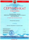 Сертификат участника Интерактивные пирамиды