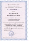 Сертификат организация и проведение всероссийского семинара 11.05.2017г.