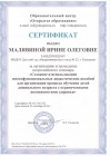 Сертификат организация и проведение всероссийского семинара 2016г.